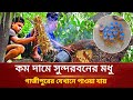 গাজীপুরে সুন্দরবনের মধু পাওয়া যায় যেখানে | Sundarbans Honey | Gazipur News | Desh Express