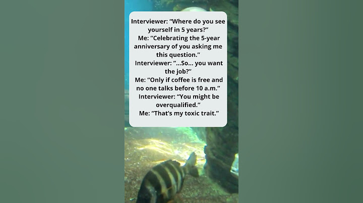 👨‍💼 The Most Honest Job Interview Ever 😂