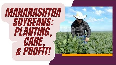 Grow Profitable Soybeans in Maharashtra: A Complete Guide