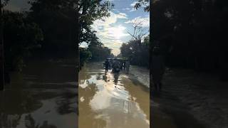 রাজনগর মৌলভীবাজার  #বন্যা #pray_for_bd #ploo #flood #sylhet #bangladesh #save #Moulobibajar