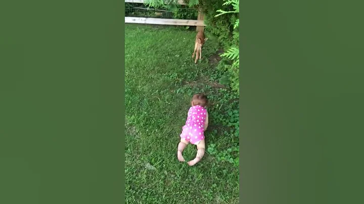 Fawn plays with baby girl
