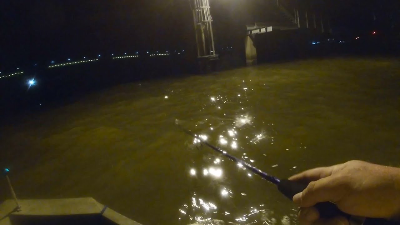 Big fish under the back bay train bridge