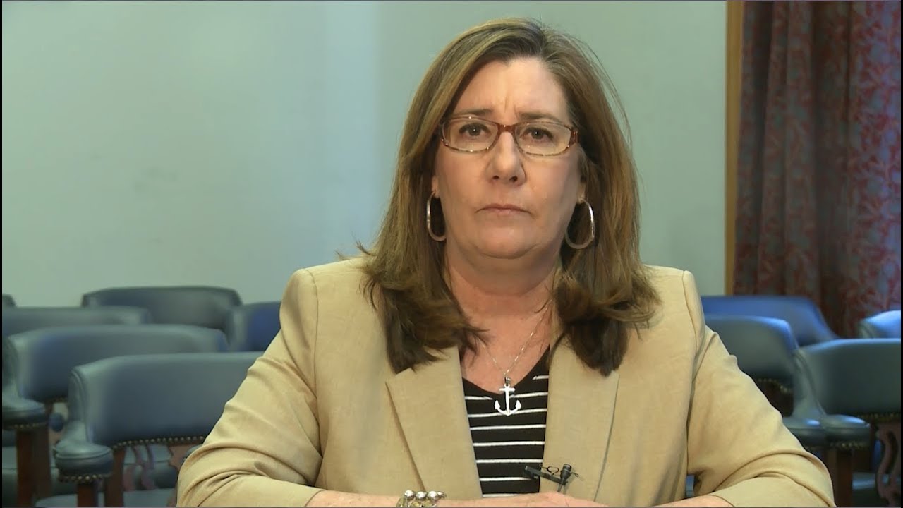 Rep. Andrea Lea, Arkansas House of Representatives - YouTube