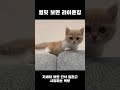 자다 깨자마자 간식 찾는 먹보둥이