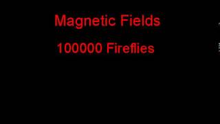 Watch Magnetic Fields 100000 Fireflies video