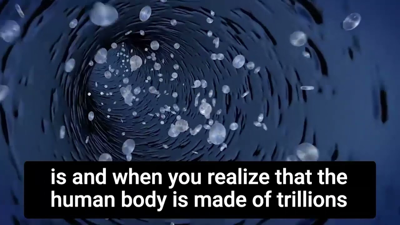 The Complexity of the World
