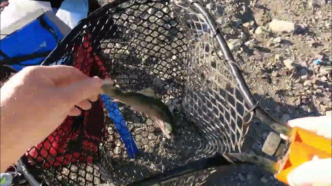 Alto Lake Trout Fishing in Ruidoso NM April 2023 YouTube