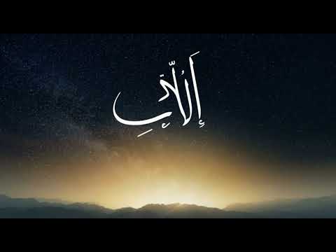 ٥ نوفمبر ٢٠٢٥