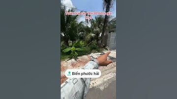 Mặt tiền đường nhựa thông gần biển Phước Hải #bbds #automobile