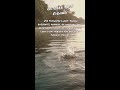 October Bass Fishing Tips #3
