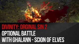 Divinity: Original Sin 2 - Optional battle with Ghalann - Scion of Elves Wealth