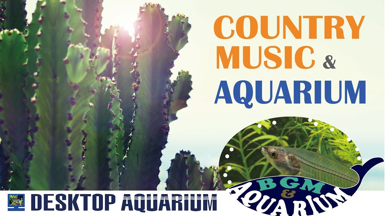 【作業用BGM】country music & aquarium ～ 癒しのカントリーミュージックとアクアリウム YouTube