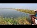 Rohu fish  rupchand fishes catch