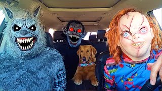 Chucky Surprises Puppy With Dancing Car Ride!