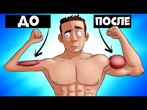 Как Часто Тренировать Мышцы