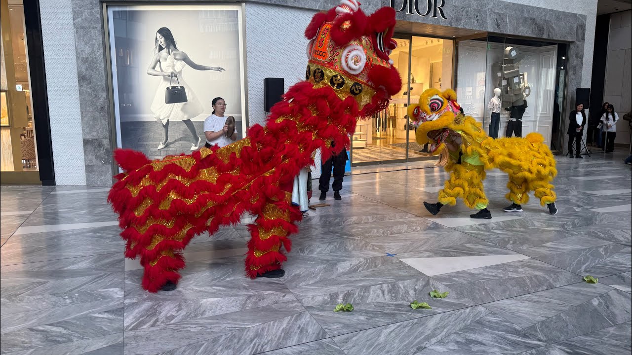 #Lunar New Year 🧧2026 at Hudson Yards#nyc#year of  horse🐎 