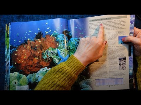ASMR | Oceans of the World! Whispered Reading & Browsing from this Gorgeous Library Book