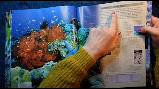 ASMR | Oceans of the World! Whispered Reading & Browsing from this Gorgeous Library Book screenshot 2