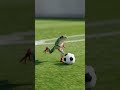 Nobody expected this from a frog #shorts #comedy #sports