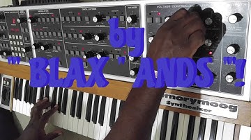 MOOG - MEMORYMOOG - VINTAGE CLASSIC ANALOG SYNTHESIZER MEMORY MOOG SYNTHESISER