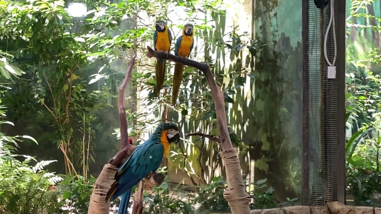 Reset Day Vlog: 24 Hours without Work