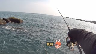 水湳洞礁岩區、竹安河 釣況分享 Wild fishing in Taiwan. [嘟嘟釣魚狂#251] 2024/03/25,27