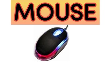 What is Mouse | Computer Mouse Types and Functions in Hindi - माउस के प्रकार और काम #mouse#coderlala