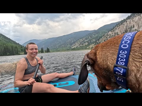 Summer fun