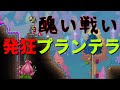 自称上級者が遊ぶテラリアpart20～vs発狂プランテラ～