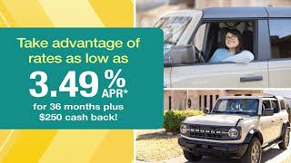 🚗 New Car, No Stress ✨| Auto Loans Made Easy #shellfcu #yourstorymatters