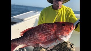 Red Snapper Slam! 2019 in Gulf Shores/Orange Beach by Sunburnt&Smiling 465 views 4 years ago 4 minutes, 37 seconds