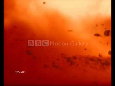 Dino - Say Goodbye