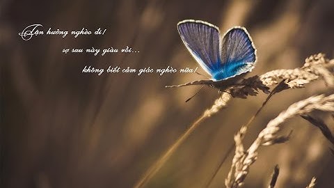 10K Vật liệu - VMPP 3.2 - Vray 3.4 - 3DsMax 2016