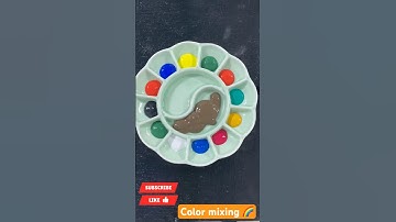 Today I Created An Extremely Beautiful Round Bridge Color Palette🌈🎨