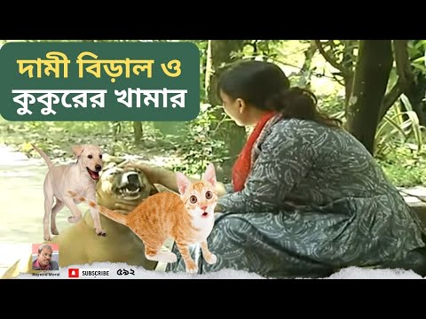 ভিডিও: টেবিল আদব মরুভূমির নতুন বেলজিয়াম বার হিসাবে কুকুরের ডিনার