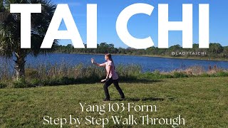Step by Step Walk Through of the Yang Family 103 Form