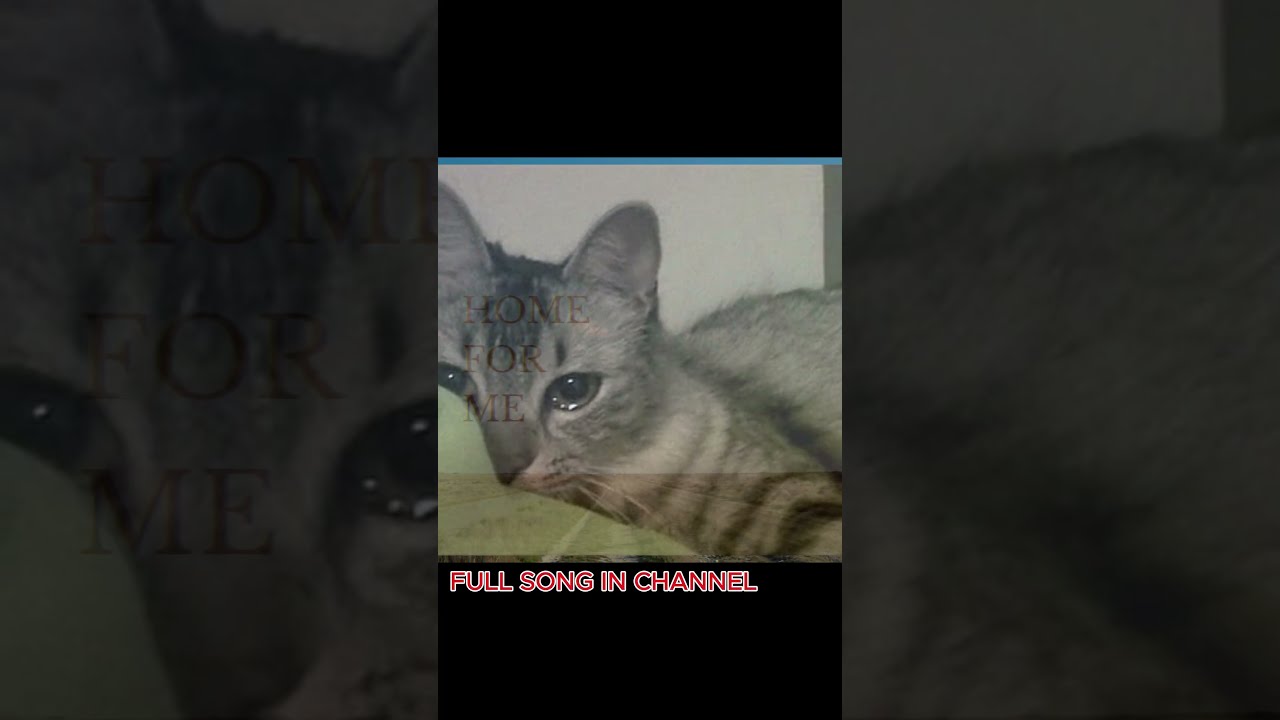When AI Gets Inspired By Chamber Of Reflection