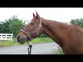 2026.5.18テスト動画、チャンネル移動に向けて　Rocky tです