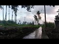 the River Accompanied by Melodious Music