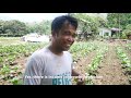 Former OFW, now a full time eggplant farmer in La Union