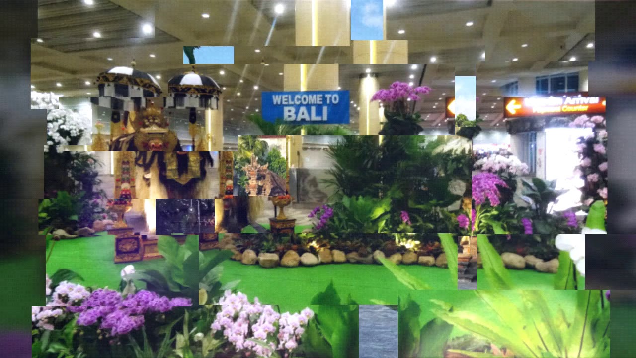 Nice vidéo of Bali 2019 