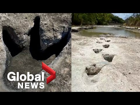 Dinosaur tracks from 113 millions years ago discovered after severe drought in texas