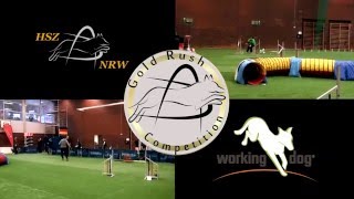 Trailer Goldrush Agility 2016