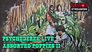 PsycheDerek LIVE: Assorted Poppies II.