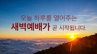 [새벽예배] 20220401 근심하지 말고 믿어라 (요 14:1-14) - 김태진 목사