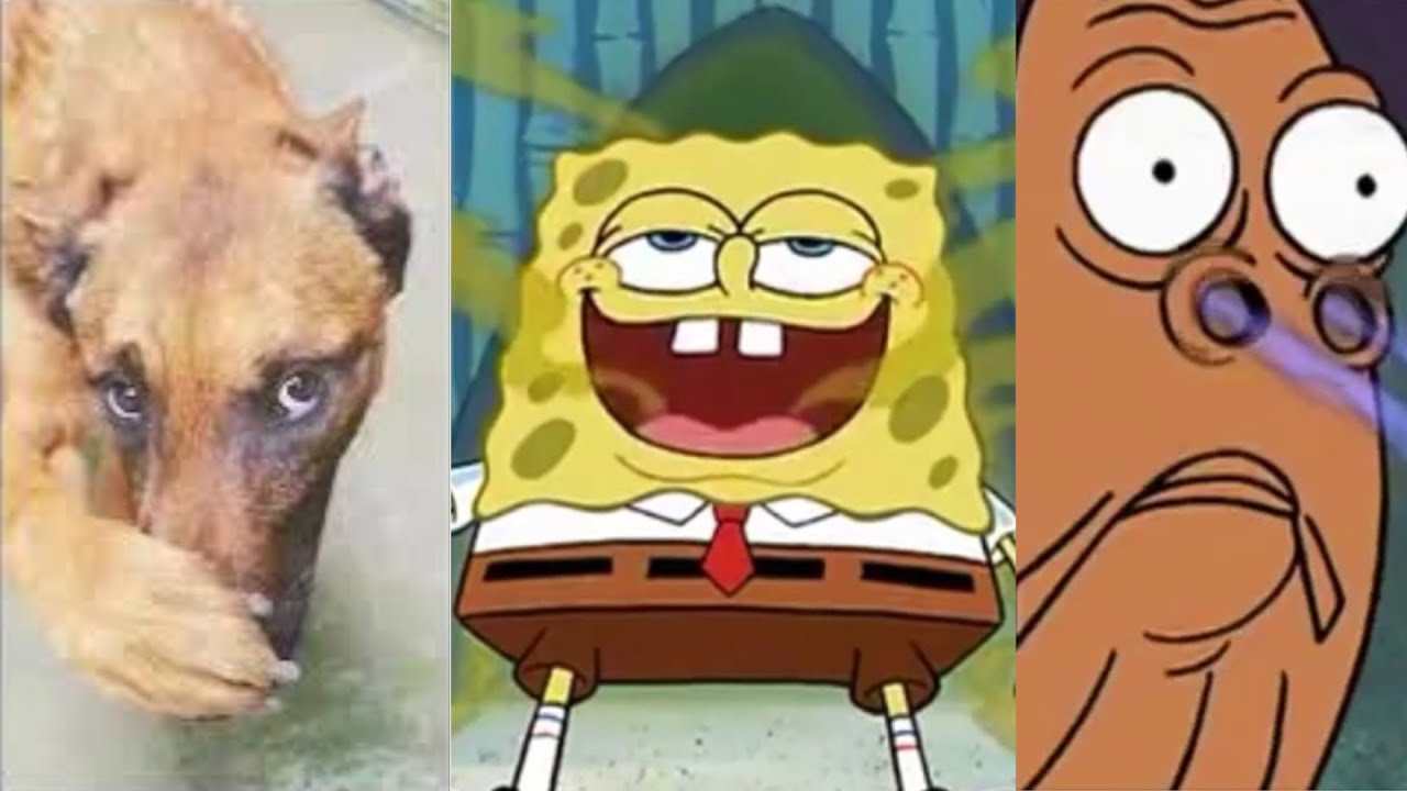 please take a shower YouTube