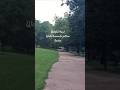 Walk towards Petrin Tower, Prague.#praguevibes #travel #ceske #naturetrails #trending #shorts