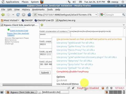 WEBGOAT V5.3 - Bypass Client Side JavaScript Validation