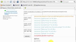 WEBGOAT V5.3 - Bypass Client Side JavaScript Validation