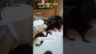 Ranking 3AM Memes 💀 #shorts